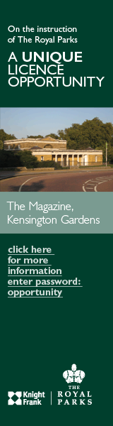 Advertisement
