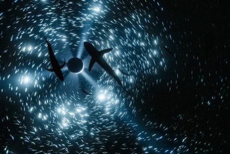 Julian Charrière, <em>Midnight Zone</em>, 2024