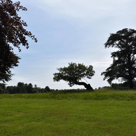 Blenheim Park and Gardens, location for Tino Sehgal’s performances